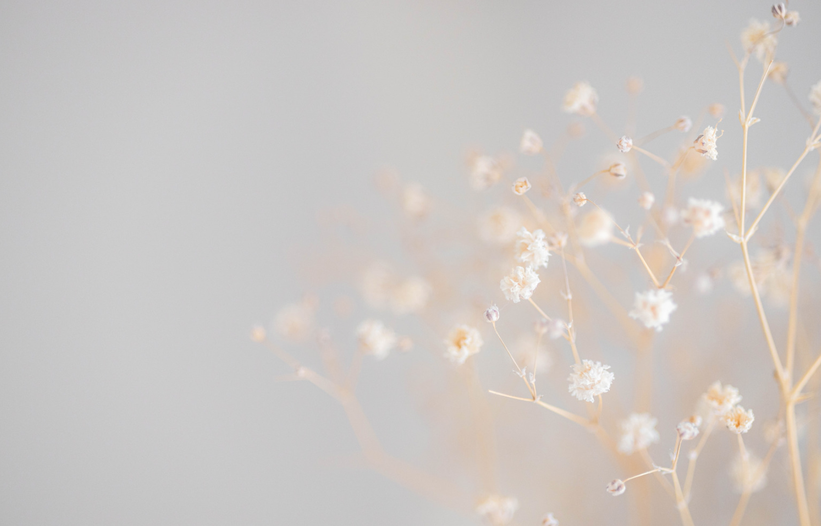 Blumen in ruhiger Stimmung.